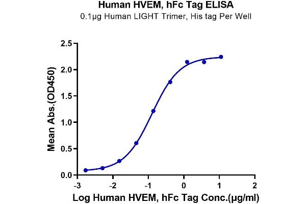 HVEM Protein (AA 39-202) (Fc Tag)