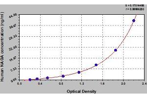 Typical Standard Curve (NAGA ELISA Kit)