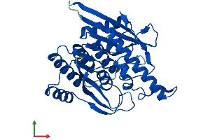 AlphaFold protein structure predicition of Human Recombinant PDXK Protein, UniprotID O00764 (PDXK Protein (AA 1-312) (His tag))