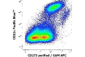 Flow cytometry multicolor surface staining pattern of human stimulated (GM-CSF + IL-4) monocytes using anti-human CD11c (BU15) Pacific Blue antibody (20 μL reagent / 100 μL of peripheral whole blood) and anti-human CD273 (24F. (PDCD1LG2 antibody)