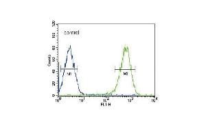 DLAT Antibody (C-term) (ABIN651534 and ABIN2840283) flow cytometric analysis of HepG2 cells (right histogram) compared to a negative control cell (left histogram).