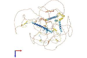 AlphaFold protein structure predicition of Human Recombinant KANSL1 Protein, UniprotID Q7Z3B3 (KANSL1 Protein (AA 1-1105) (His tag))