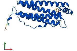 Protein Structure (PS) image for Ferritin, Heavy Polypeptide 1 (FTH1) (AA 1-182) protein (His tag) (ABIN7562777)