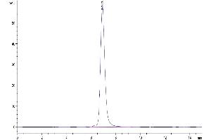 Size-exclusion chromatography-High Pressure Liquid Chromatography (SEC-HPLC) image for T Cell Immunoreceptor with Ig and ITIM Domains (TIGIT) (AA 22-141) protein (Fc Tag) (ABIN7275729)