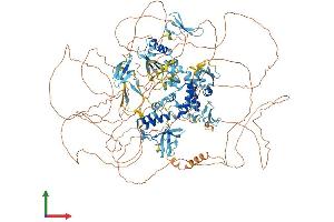 Protein Structure (PS) image for Neural Precursor Cell Expressed, Developmentally Down-Regulated 4, E3 Ubiquitin Protein Ligase (NEDD4) (AA 1-1319) protein (His tag) (ABIN7554693)