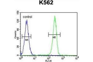 Fllow cytometric analysis of K562 cells using AP53076PU-N (right histogram) compared to a negative control cell (left histogram). (Q9H346 (AA 251-281), (C-Term) antibody)
