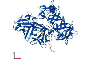 AlphaFold protein structure predicition of Human Recombinant FSCN3 Protein, UniprotID Q9NQT6 (Fascin 3 Protein (FSCN3) (AA 1-498) (His tag))
