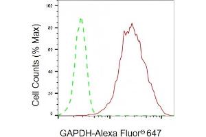 Flow cytometric analysis of GAPDH expression in HepG2 cells using GAPDH antibody (ABIN7798768), 1:2,000). (Recombinant GAPDH antibody)