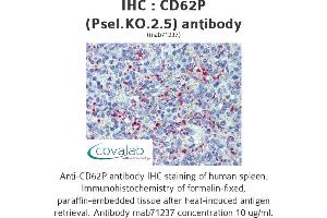 Image no. 2 for anti-Selectin P (Granule Membrane Protein 140kDa, Antigen CD62) (SELP) antibody (ABIN1724063) (P-Selectin antibody)