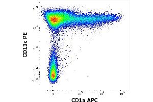 Flow cytometry multicolor surface staining pattern of human stimulated (GM-CSF + IL-4) peripheral blood mononuclear cells stained using anti-human CD1a (HI149) APC antibody (concentration in sample 0.