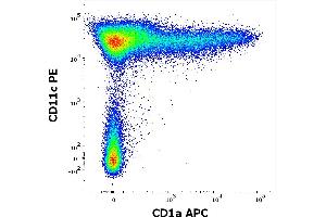 Flow cytometry multicolor surface staining pattern of human stimulated (GM-CSF + IL-4) peripheral blood mononuclear cells stained using anti-human CD1a (HI149) APC antibody (concentration in sample 0. (CD1a antibody  (APC))