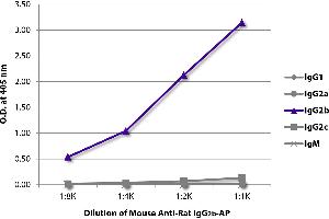 ELISA plate was coated with purified rat IgG1, IgG2a, IgG2b, IgG2c, and IgM. (Mouse anti-Rat IgG2b Antibody (Alkaline Phosphatase (AP)))