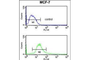 Flow cytometry analysis of MCF-7 cells (bottom histogram) compared to a negative control cell (top histogram).