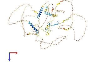 Proline Rich 14 (PRR14) (AA 1-612) protein (His tag)