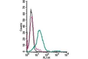 Cell surface detection GPR120/FFAR4 in live intact mouse BV-2 microglia cells: (black line) Cells. (O3FAR1 antibody  (Extracellular) (FITC))