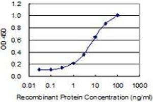 Detection limit for recombinant GST tagged DGKK is 0. (DGKK antibody  (AA 1171-1271))