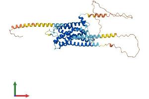 Protein Structure (PS) image for Serotonin Receptor 2B (HTR2B) (AA 1-479) protein (His tag) (ABIN7563580)