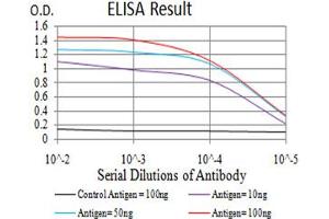 Fig. (TRAF2 antibody  (AA 39-188))