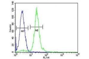 CPT1C antibody flow cytometric analysis of HL-60 cells (green) compared to a negative control (blue). (CPT1C antibody  (AA 752-782))