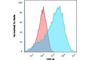 Flow Cytometric Analysis of HEK293 cells using Neurofilament Rabbit Recombinant Monoclonal Ab (NEFL. (Recombinant NEFH antibody)