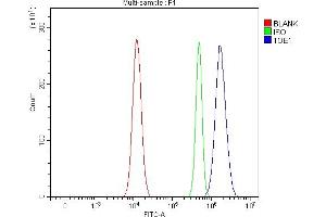 Flow Cytometry analysis of Ramos cells using anti-TOE1 antibody (ABIN7601080). (TOE1 antibody  (AA 28-501))