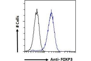ABIN185239 Flow cytometric analysis of paraformaldehyde fixed NIH3T3 cells (blue line), permeabilized with 0. (FOXP3 antibody  (C-Term))