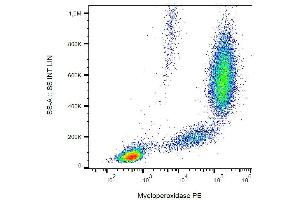 Intracellular staining of human peripheral blood with anti-myeloperoxidase (MPO421-8B2) FITC. (Myeloperoxidase antibody  (FITC))