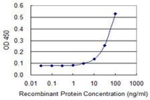 Detection limit for recombinant GST tagged ELA1 is 3 ng/ml as a capture antibody. (CELA1 antibody  (AA 159-257))