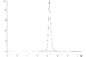 Size-exclusion chromatography-High Pressure Liquid Chromatography (SEC-HPLC) image for Interleukin 1 Receptor, Type II (IL1R2) (AA 14-355) protein (His tag) (ABIN7274910)