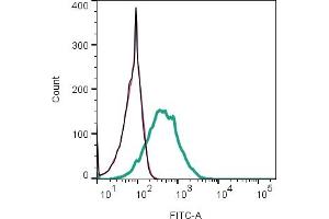 Cell surface detection of mGluR3  by indirect flow cytometry in live intact mouse J774 macrophage cell line: + goat-anti-rabbit-FITC.