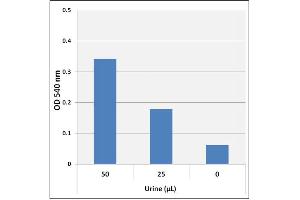 Detection of homocitrulline/citrulline in human urine.