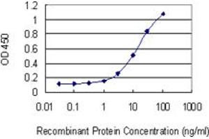 Detection limit for recombinant GST tagged GAA is 0. (GAA antibody  (AA 851-952))
