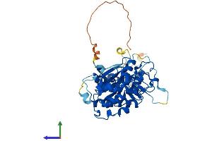 AlphaFold protein structure predicition of Human Recombinant CDK9 Protein, UniprotID P50750 (CDK9 Protein (AA 1-372) (His tag))