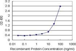 Sandwich ELISA detection sensitivity ranging from 0. (HMGB2 (Human) Matched Antibody Pair)