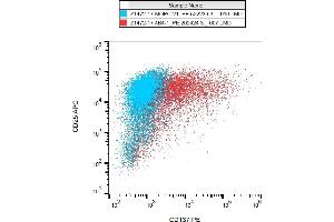Flow cytometry analysis (surface staining) of CD137 in PHA activated PBMC with anti-CD137 (4B4-1) PE. (CD137 antibody  (PE))