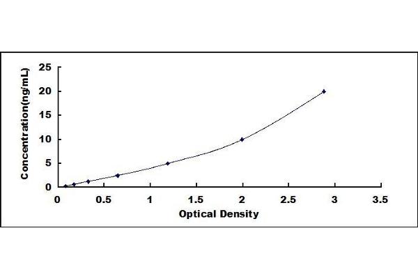 ICAM1 ELISA Kit