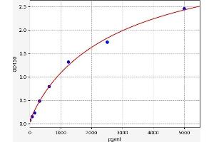 Typical standard curve (DNASE2 ELISA Kit)