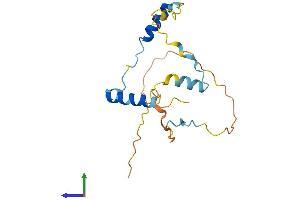 AlphaFold protein structure predicition of Mouse Recombinant Mea1 Protein, UniprotID Q64327 (MEA1 Protein (AA 1-174) (His tag))