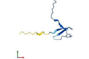 AlphaFold protein structure predicition of Mouse Recombinant Polr2k Protein, UniprotID Q63871