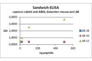 ELISA image for anti-Amyloid beta 1-42 (Abeta 1-42) (AA 37-42) antibody (ABIN1742444) (Abeta 1-42 antibody  (AA 37-42))