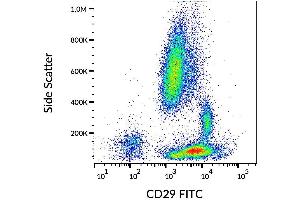 Surface staining of human peripheral blood with anti-human CD29 (MEM-101A) purified, GAM-APC. (ITGB1 antibody)