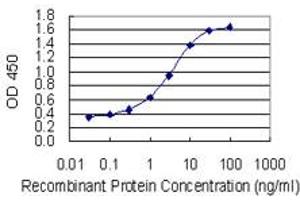 Detection limit for recombinant GST tagged TLK1 is 0. (TLK1 antibody  (AA 111-230))
