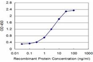 Detection limit for recombinant GST tagged ZFYVE16 is approximately 0. (ZFYVE16 antibody  (AA 1-100))