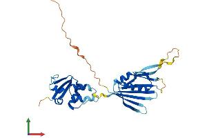 AlphaFold protein structure predicition of Human Recombinant KCNRG Protein, UniprotID Q8N5I3 (KCNRG Protein (AA 1-272) (His tag))