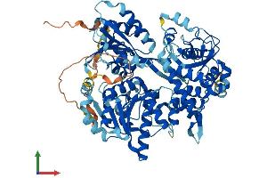 AlphaFold protein structure predicition of Human Recombinant DHX33 Protein, UniprotID Q9H6R0 (DHX33 Protein (AA 1-707) (His tag))