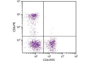 Feline peripheral blood lymphocytes were stained with Mouse Anti-Feline CD4-FITC. (CD4 antibody  (FITC))