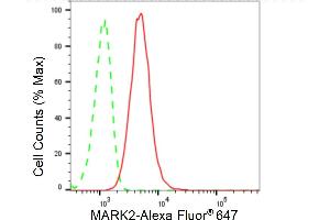 Flow cytometric analysis of MARK2 expression in HT- cells using MARK2 antibody (ABIN7799333), 1:2,000). (Recombinant MARK2 antibody)