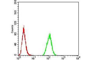 Flow cytometric analysis of Hela cells using MGMT mouse mAb (green) and negative control (red). (MGMT antibody  (AA 32-210))