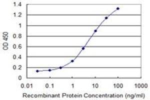 Detection limit for recombinant GST tagged SORCS2 is 0. (SORCS2 antibody  (AA 802-900))
