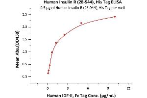 Immobilized Human Insulin R (28-944), His Tag (ABIN6731242,ABIN6809906) at 5 μg/mL (100 μL/well)can bind Human IGF-II, Fc Tag (ABIN2181265,ABIN2181264) with a linear range of 0. (Insulin Receptor Protein (INSR) (AA 28-944) (His tag))